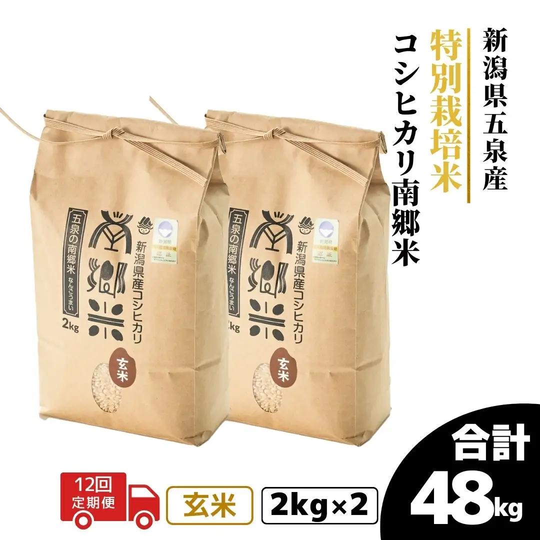 【12回定期便】コシヒカリ 玄米 4kg 2kg×2袋 特別栽培 南郷米｜玄米 コシヒカリ こしひかり