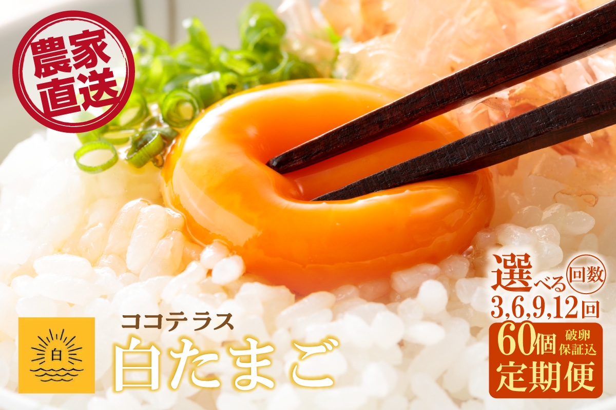 
            【3～12ヵ月定期便】ココテラスの朝日（白たまご）55個 + 5個保証（計60個）選べる定期便回数【JGAP認証】
          