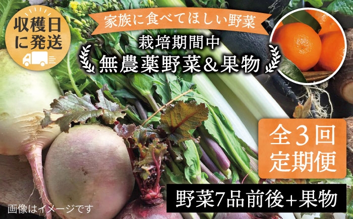 
                  【 全3回 定期便 】 こだわり 野菜  ( 7品 前後 ) セット ＋ 果物 《糸島》【オーガニックナガミツファーム】 	[AGE007]
                