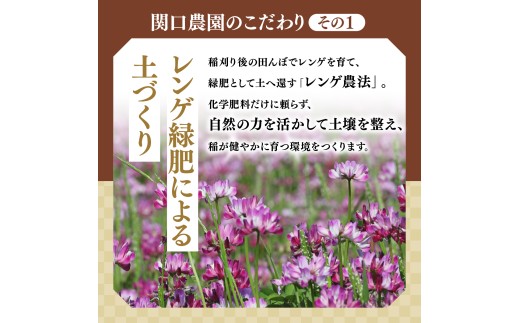 令和8年度 新米 コシヒカリ 精米 5kg 農家直送 | コシヒカリ こしひかり 米 お米 おこめ こめ 白米  ごはん ご飯 厳選米 茨城県産 こしひかり 産地直送 国産 冷めてもおいしい 美味しい