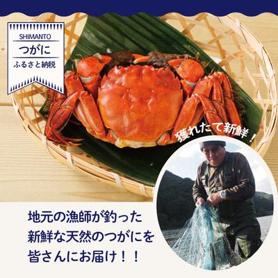ふるさと納税 四万十市 高級天然食材!四万十川の天然ツガニ 約700g〜800g(4〜6匹) 26 |  | 03