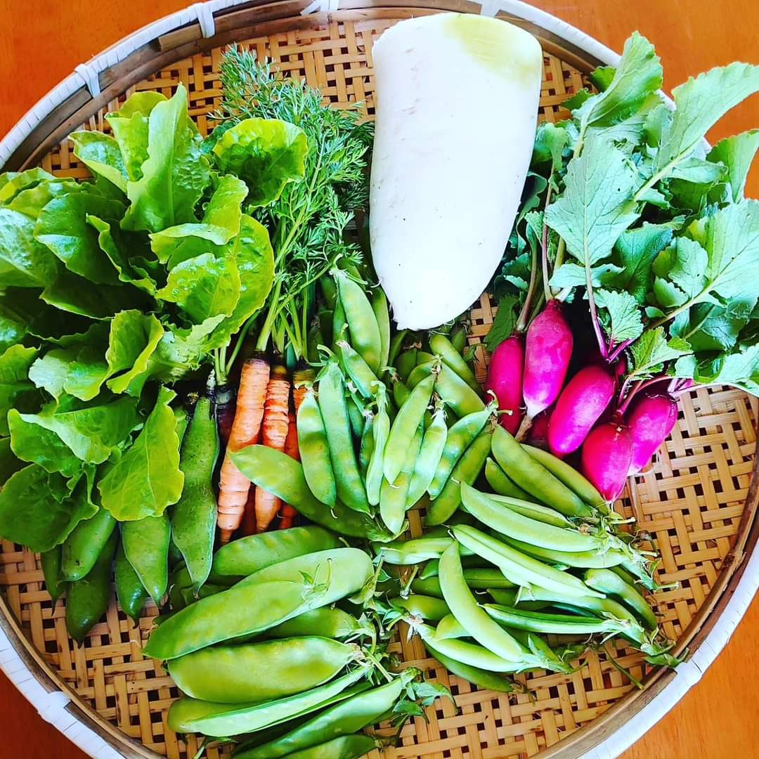
佐賀産「旬の野菜セット」(農薬:栽培期間中不使用)
