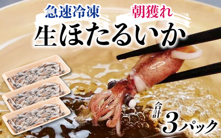 急速冷凍 生 ほたるいか カネツル砂子商店