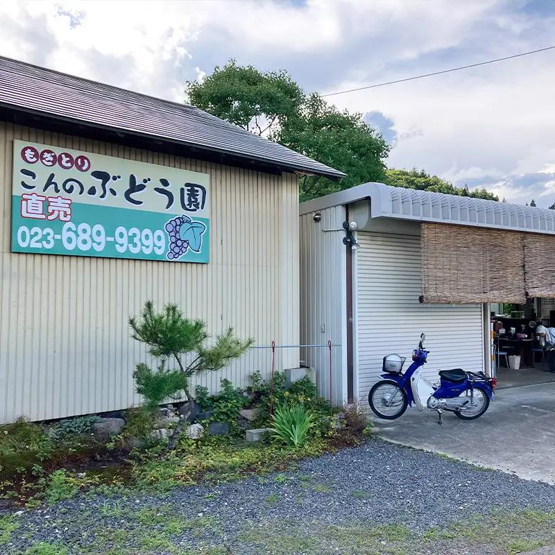 ぶどう狩り体験 (小学生以下2名まで利用) FY26-093