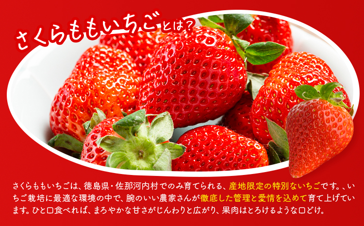 いちご 佐那河内村限定 さくらももいちご  24粒 28粒 化粧箱 JA徳島市佐那河内支所 ふる里産品推進協議会《3月上旬-3月末発送》徳島県 佐那河内村【配送不可地域あり】※離島 | ブランドいちご