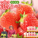 【ふるさと納税】 イチゴ 恋みのり 選べる 約1000g （250g×4パック） or 約500g （250g×2パック） 果物 フルーツ 生産者直送 産地直送 送料無料