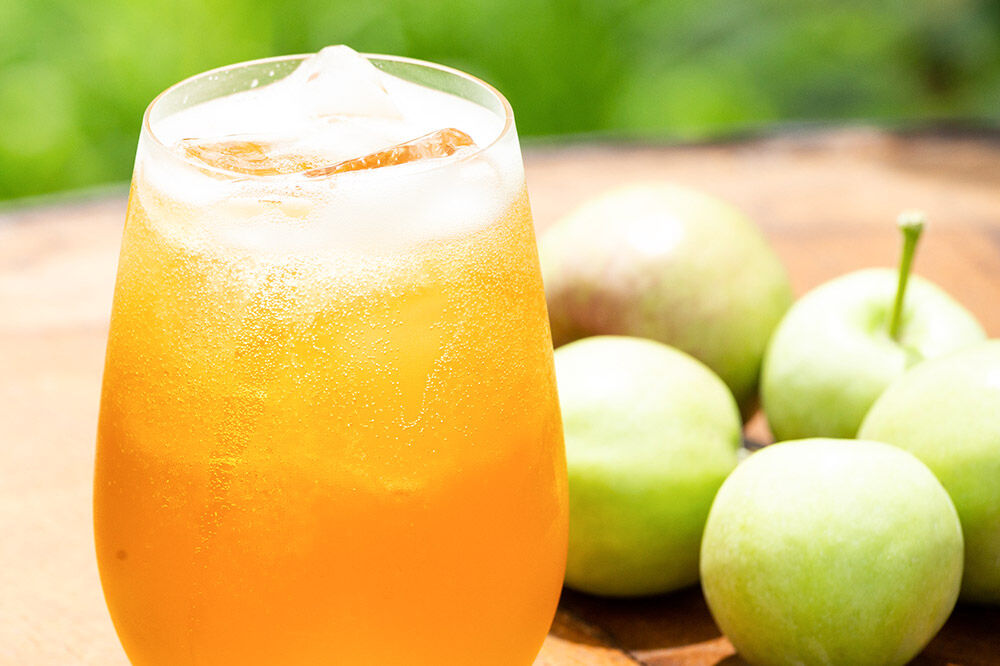 【寄附金額見直しました】摘果りんごのアップサイクルドリンク テキカカアップルソーダ 330ml×6本 青森 弘前 林檎 リンゴ