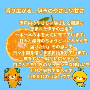 訳あり 伊予のみかん 約2kg サイズミックス ランダム 【2025年11月下旬から順次発送予定】 みかん 愛媛県産 数量限定 先行予約 柑橘 伊予市|A121