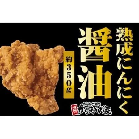 特製 からあげ食べ比べセット(熟成醤油・出汁塩)計700g_肉 唐揚げ 鶏肉 からあげ カラアゲ_【配送不可地域：離島・沖縄県】【1572792】