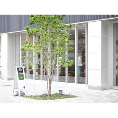 ふるさと納税 名古屋市 革製スニーカー1足分お仕立券 |  | 01