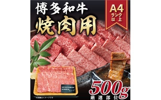 
            AC147.【A4～A5】博多和牛焼肉用約500g【博多和牛】
          