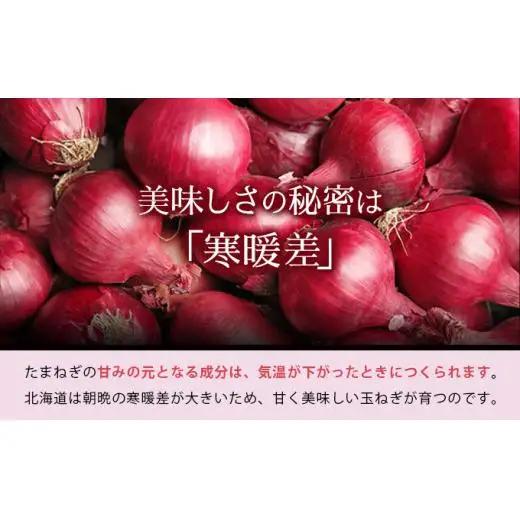真珠の玉葱 赤玉葱Lサイズ10玉 ≪海のミネラルで育てた特別栽培玉葱≫【50107】