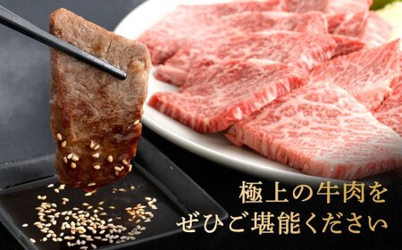 【やまぐち和牛燦】 牛カルビ焼肉 約500g 牛カルビ 焼肉 焼き肉 牛肉 冷凍 福岡県 北九州市