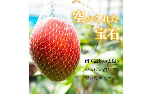 【202505_父の日】【早期予約】《2025年5月中旬から発送》マンゴー 特秀品 2玉(2L) 800g以上 果物 完熟 フルーツ 完熟マンゴー 期間限定 ギフト 贈答用 ふるさと納税マンゴー ご褒