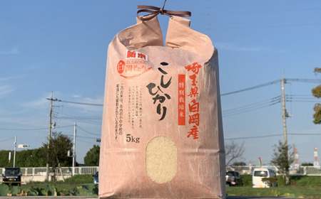＜令和7年産＞特別栽培米　コシヒカリ　5kg　【11246-0108】
