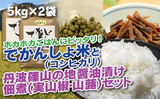
            【令和7年産 2025年9月以降順次発送】 丹波篠山の地醤油漬、佃煮セット　でかんしょ米5kg×２と実山椒・山蕗 兵庫県 丹波篠山市 白米 100％単一原料米 産地直送米 贈答 おいしい お米 精米 コシヒカリ ブランド おこめ 健康 ギフト 内祝い 贈り物 送料無料 おすすめ 人気 口コミ
          