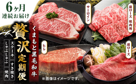 【6回定期便】くまもと黒毛和牛 贅沢定期便（ステーキ すき焼き しゃぶしゃぶ 焼肉）【馬刺しの郷 民守】 和牛 サーロイン ヒレ 肩ロース すき焼き 焼肉用 しゃぶしゃぶ  [ZBL036]