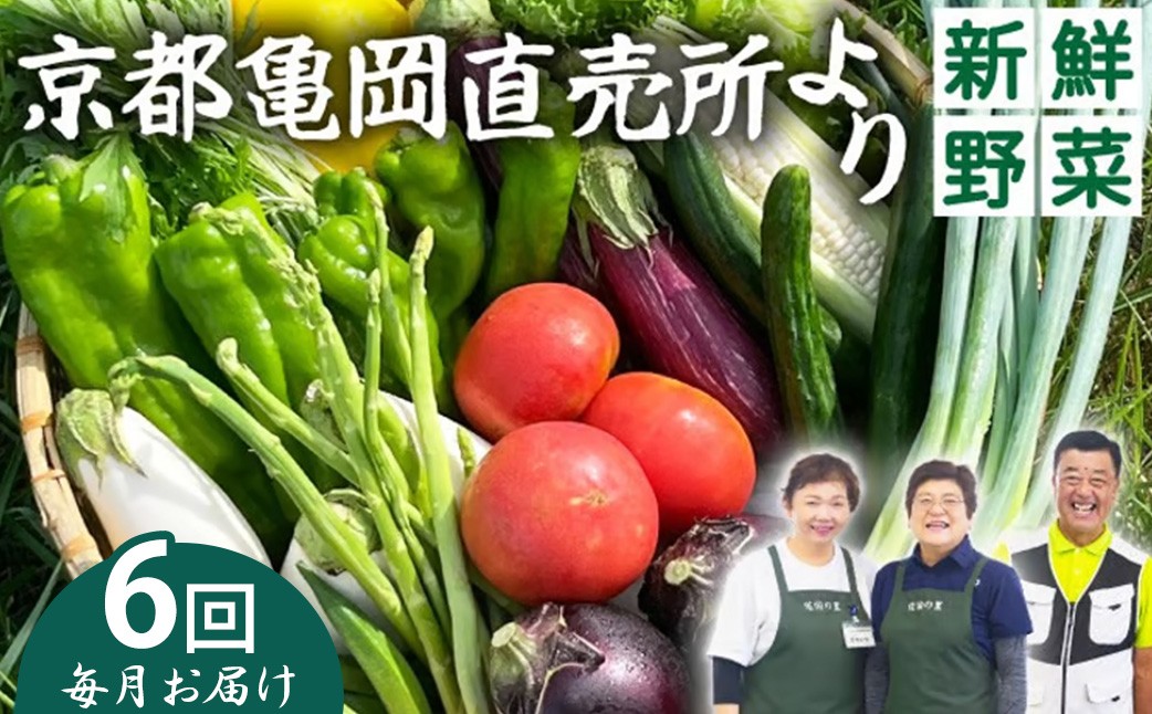 
                  【6回定期便(毎月1回)】 野菜定期便 7~10種類 旬の野菜 「佐伯の里」 野菜セット 詰め合わせ 訳あり 生活応援品 季節 旬 野菜 やさい 国産 国産野菜 新鮮 おまかせ 産地直送 春野菜 夏野菜 秋野菜 冬野菜 葉物 果菜 根菜 京都府産 亀岡市産 京丹波町産 季節の野菜 九条ネギ なす しいたけ 万願寺とうがらし サラダ 水菜 聖護院大根 送料無料 京都府 亀岡市 1ヵ月毎
                