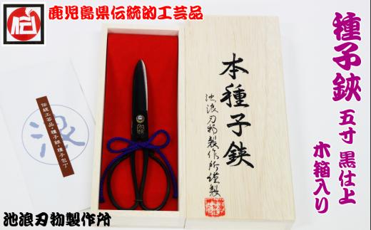 種子島 伝統工芸 種子 鋏 (たねばさみ) ５寸 黒仕上 木箱入　NFN160【875pt】// 伝統手法 贈り物 木箱入りの贈答品  鹿児島県指定 伝統的工芸品