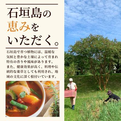 ふるさと納税 石垣市 チャンプルの素　25g　瓶入×3本【 沖縄県 石垣島 調味料 石垣島産 】PN-1 |  | 01