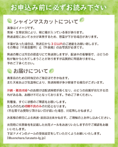 【2026年先行予約】 山梨県産シャインマスカット 1kg（2～３房）【化学肥料、除草剤不使用】ぶどう 葡萄 フルーツ 果物 農園直送