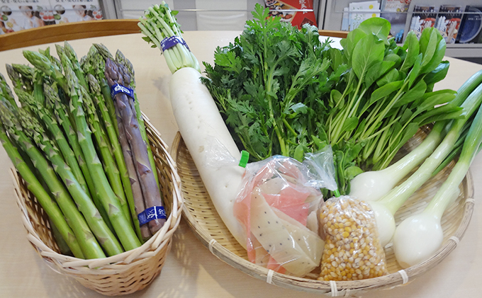 
            【館長おまかせ！】 南会津町 季節の野菜詰合せ [№5883-0024]
          