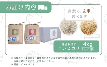 【令和5年産】乳酸菌入りの土壌で育てた 福井県 坂井町産 特別栽培米コシヒカリ 4kg (2㎏×2袋) (白米) [A-4812_01]