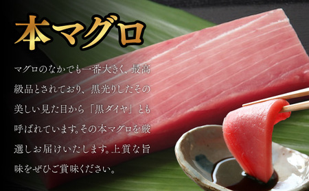 厳選天然本まぐろ中トロ２柵　と　厳選天然南まぐろ２柵 食べ比べ 合計800ｇ まぐろ マグロ 鮪 本マグロ 本まぐろ 天然 魚 海鮮 魚介 比較