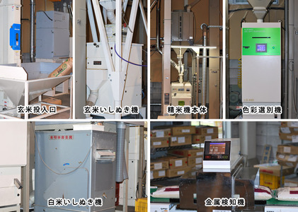 【定期便3回】令和5年産！邑南町産石見高原瑞穂米5kg