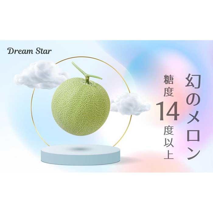 【ふるさと納税】【2026年5月以降発送】さぬきメロン Dream Star 1.3kg以上｜メロン 糖度 14度以上 甘い フルーツ 果物 くだもの 特産 ふるさと 坂出市 香川 さぬき 食品 人気 おすすめ 送料無料 | メロン 甘い フルーツ 果物 くだもの 坂出市 食品 人気 おすすめ 送料無料
