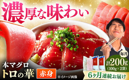 【全6回定期便】対馬産 本マグロ 赤身200g ≪対馬市≫【桐谷商店】 トロの華 対馬 新鮮 マグロ 赤身 鮪 刺身[WAQ113]