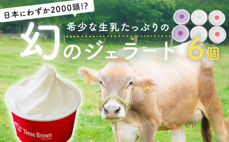 ジェラート 幻の牛の生乳から作るジェラート 6個 群馬県 前橋市