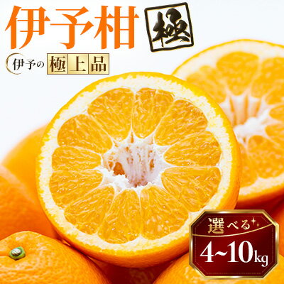 【ふるさと納税】【太陽をたっぷり浴びた】伊予柑【極】 4kg / 5kg / 10kg_ 伊予柑 いよかん みかん ミカン 蜜柑 果物 くだもの フルーツ デザート おいしい ジューシー かんきつ 柑橘 柑橘類 国産 愛媛 愛媛県 八幡浜市 産直 産地直送 送料無料 【G1509740】