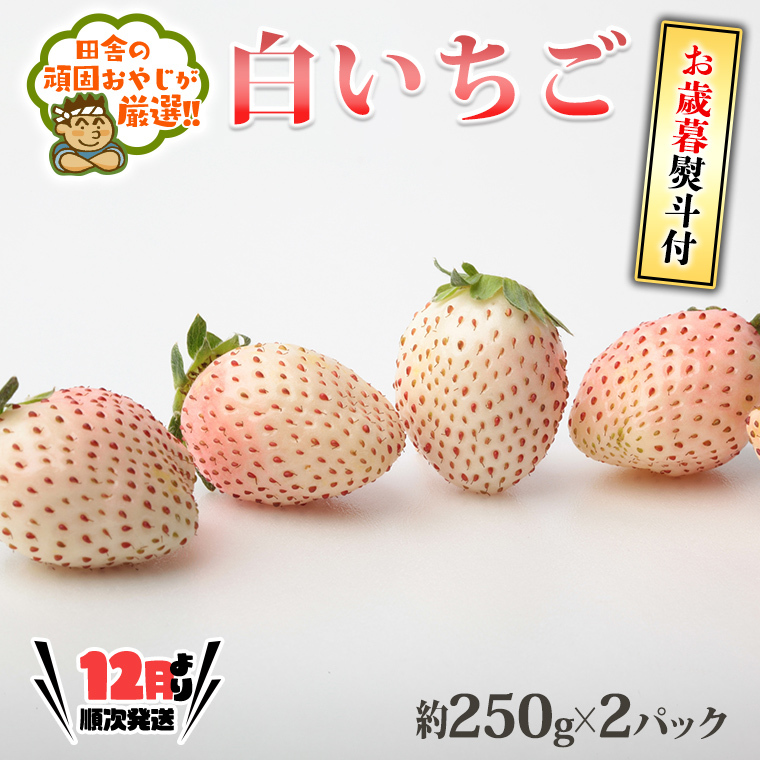 ＜お歳暮熨斗付＞白いちご約250ｇ×2パック 【12月より順次発送】 田舎の頑固おやじが厳選！（茨城県共通返礼品 [いちご]：城里町産）茨城県 県産 つくばみらい市 人気 厳選 果物 くだもの 旬 旬