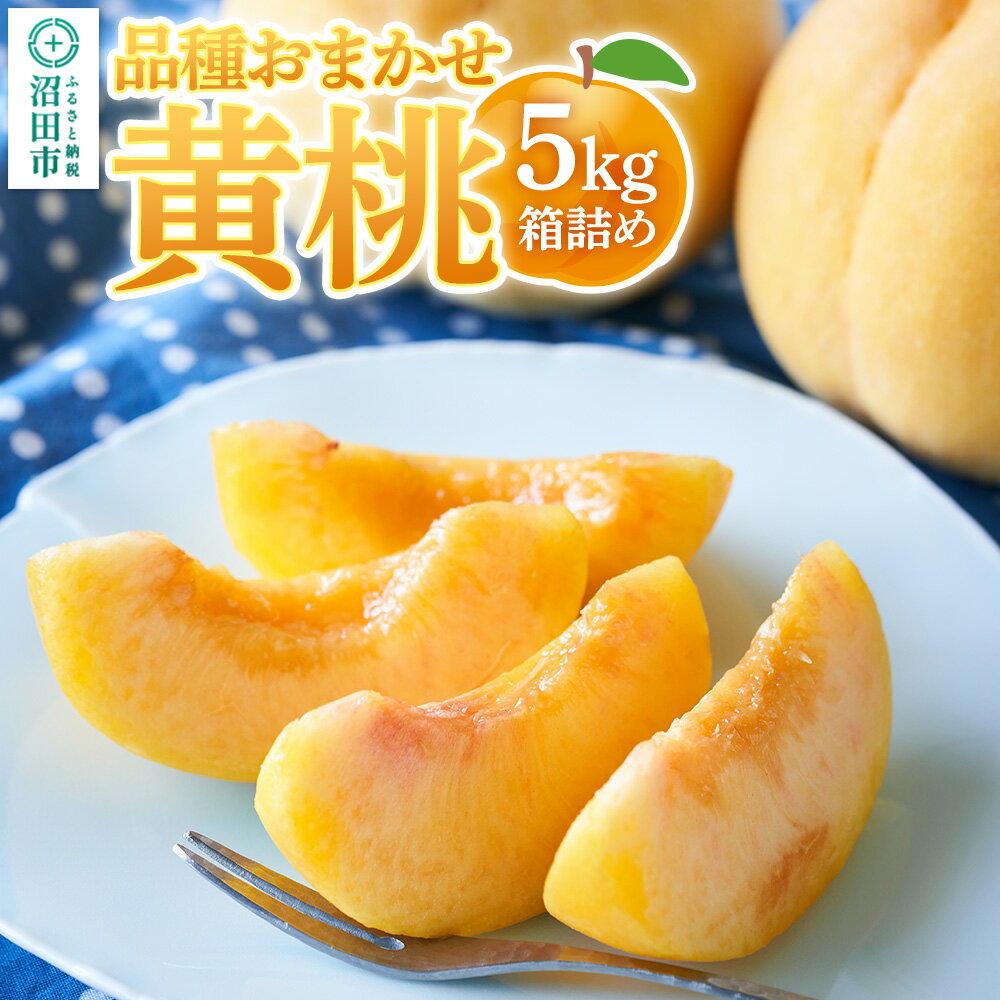 【ふるさと納税】《8月下旬〜9月上旬発送》品種おまかせ黄桃 5kg箱