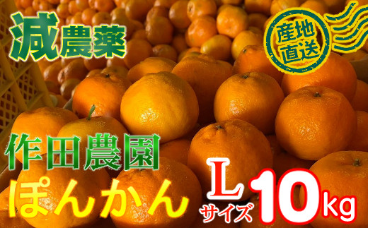 
                  【正規品】作田農園直送！ポンカンＬサイズ１０ｋｇ
                