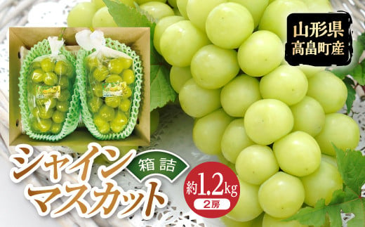 《2025年先行予約》贈答用 山形県 高畠町 シャインマスカット 箱詰 約1.2kg(2房) 2025年9月中旬から順次発送 ぶどう ブドウ 葡萄 マスカット 大粒 種なし 高級 くだもの 果物 フルーツ 秋果実 産地直送 農家直送 数量限定 贈答 ギフト F20B-723