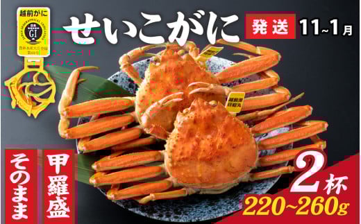 【先行予約】選べる！美味しさ直送【成前特選】 せいこがに（220g～260g）×2杯 【11月～1月発送】甲羅盛  [E-028045_07] / ズワイガニ 甲羅盛り 越前がに かに 蟹 楚蟹 セイコ蟹 越前かに 香箱がに こうばこがに 親ガニ こっぺがに せこがに 甲羅蟹 甲羅がに 香箱蟹 メス ずわいがに カニ セイコガニ