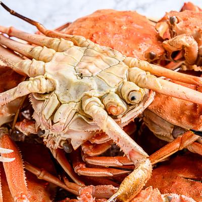 ふるさと納税 森町 ■北海道噴火湾産■【訳あり】冷凍ボイル済・オオズワイガニ 約4.0kg(オスメス小サイズ混合) |  | 02