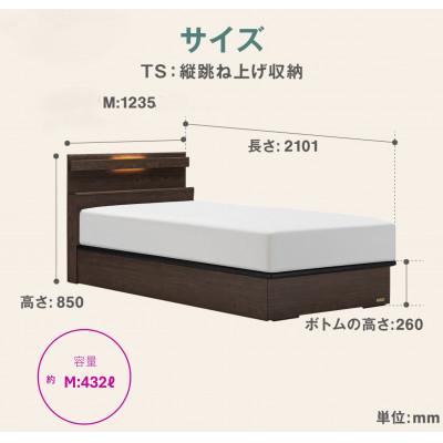 ふるさと納税 上峰町 フランスベッド　フレームのみセミダブルFAD-C1 (TS跳ね上げ収納260mm)フレームカラー選択 |  | 03
