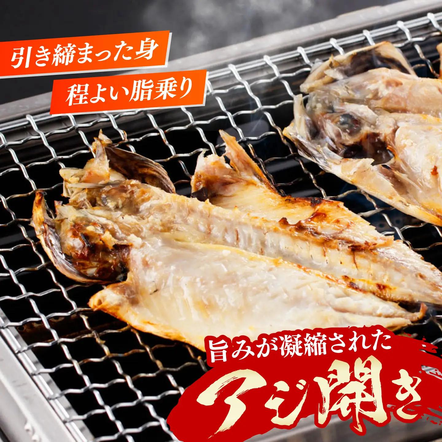 【全6回定期便】対馬 海の幸 干物 セット [WAC028]冷凍 魚 イカ 鯵 アジ 剣先いか さば 穴子