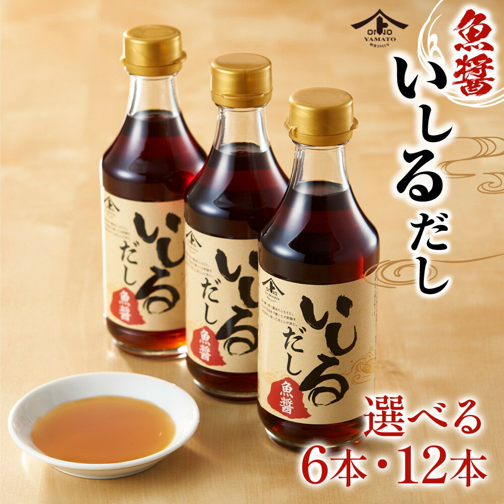 【ふるさと納税】魚醤・いしるだし300ml【選べる本数】6本・12本セット | 調味料 だし 出汁 つゆ 食品 加工食品 人気 おすすめ 送料無料