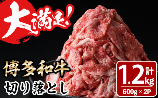 
大満足！博多和牛切り落とし(600g×2P・計1.2kg) 牛肉 黒毛和牛 国産 すき焼き しゃぶしゃぶ 肩 バラ 福岡県＜離島配送不可＞【ksg0404】【MEATPLUS】
