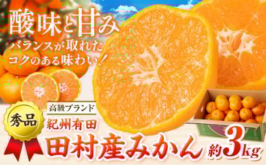 みかん 高級ブランド 秀品 紀州有田田村産みかん 3kg 株式会社魚鶴商店《12月上旬-2月中旬頃出荷(土日祝除く)》和歌山県 日高町 田村産 柑橘 フルーツ くだもの 果物