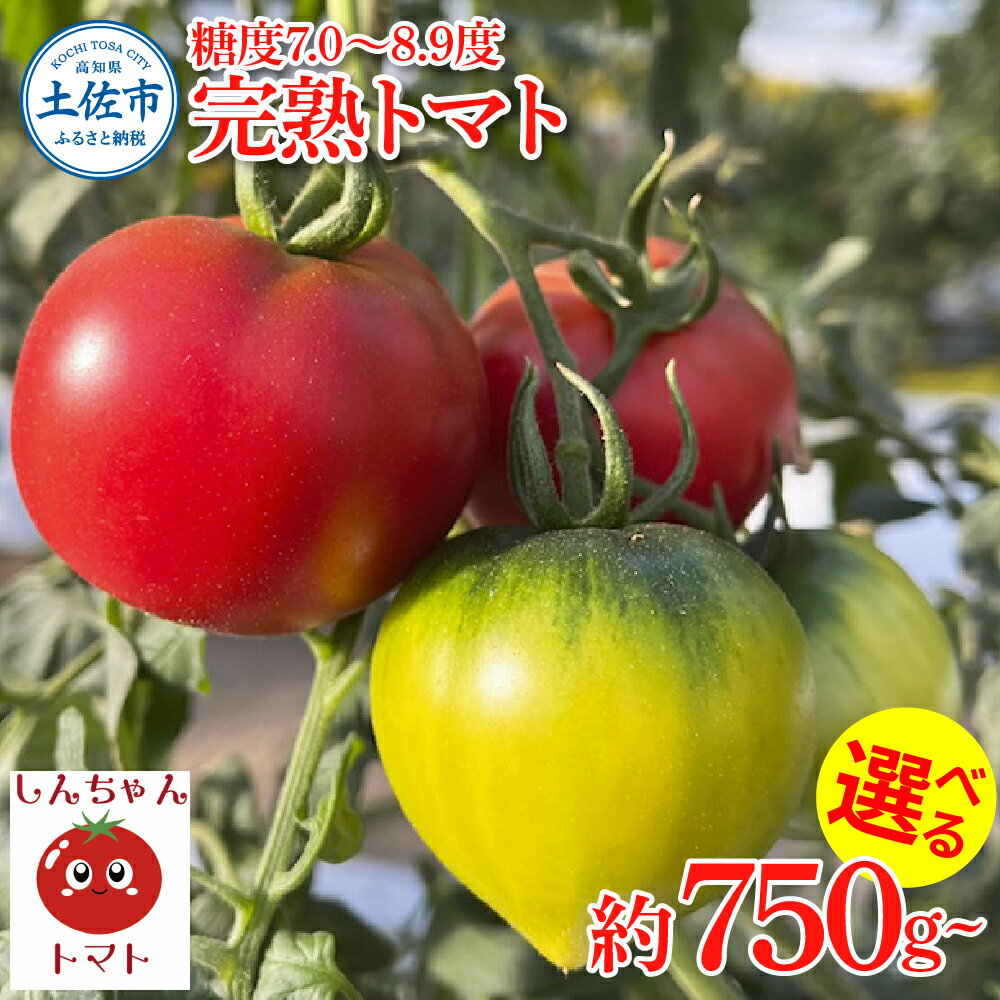 【ふるさと納税】完熟トマト しんちゃんトマト 約750g~1.5kg 糖度7.0～8.9度 とまと トマト 野菜 やさい 料理 サラダ マリネ 甘味 酸味 食品 食べ物 リコピン おいしい お取り寄せ 常温 冷蔵 配送 故郷納税 ふるさとのうぜい 返礼品 高知県 土佐市