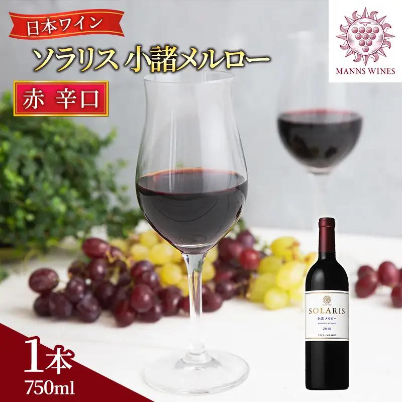 赤ワイン ソラリス 小諸メルロー 750ml1本 赤ワイン