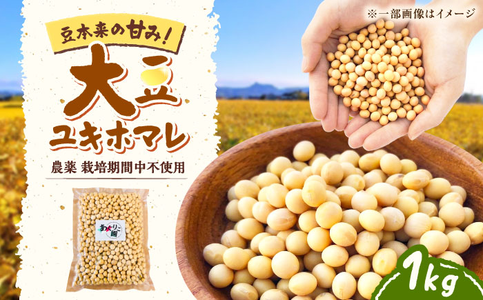 【自然栽培】令和7年産 寒締め収穫 大豆 1kg (ユキホマレ) | 乾燥大豆 だいず 豆 まめ 北海道 | あぐりこ園 [BOAA006]