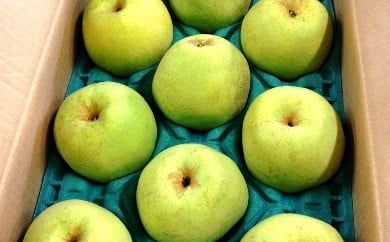 08-01-019　和梨(かおり)3kg