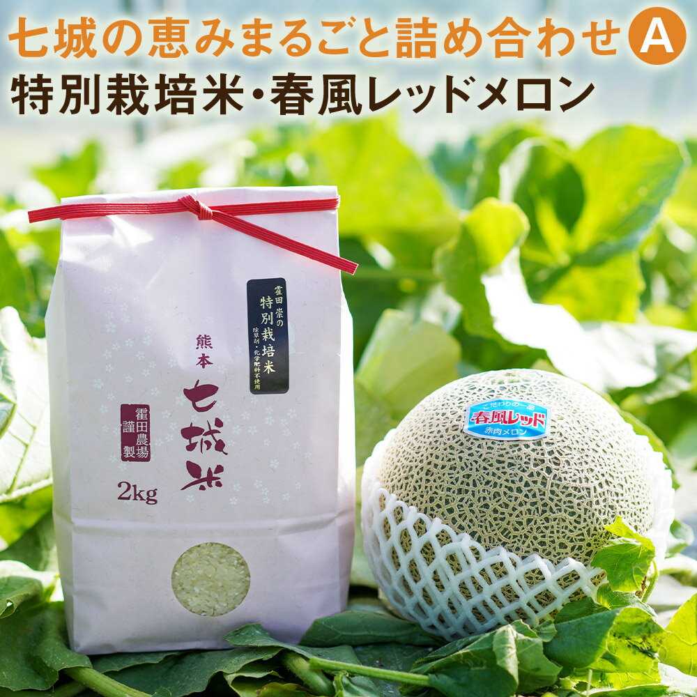 【ふるさと納税】七城の恵みまるごと詰め合わせA 特別栽培米2kg 春風レッドメロン1玉 セット お米 精米 白米 ヒノヒカリ メロン 果物 フルーツ 熊本県産 九州産 送料無料【2026年5月上旬～5月下旬に順次発送予定】