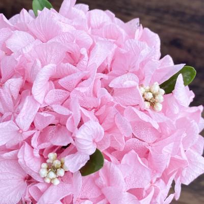 ふるさと納税 春日部市 プリザーブドフラワーアレンジ【さくらの木】春日部市 シュガーパイン |  | 01